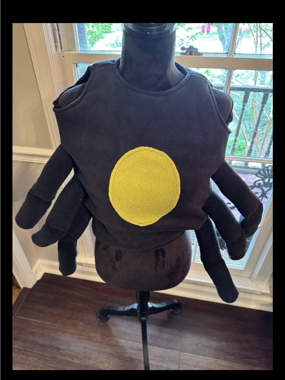 Pottery Barn Kids Spider Costume with Yellow Circle, Size 2T-3T